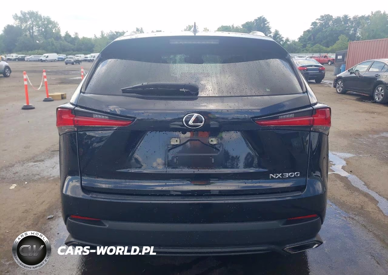 2021 Lexus Nx 300 Base VIN:JTJDARDZ3M5020163 - 6