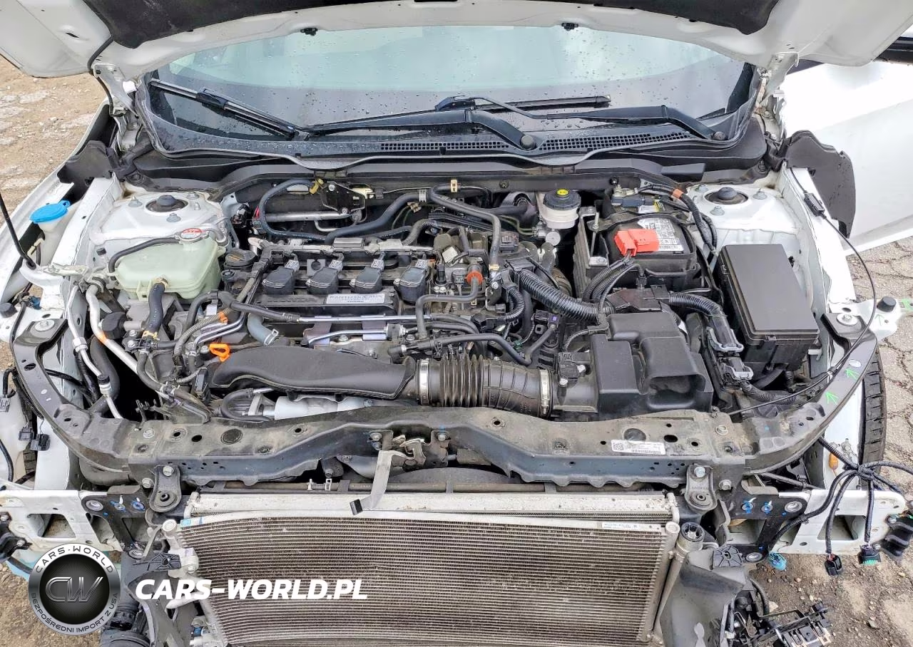 2019 Honda Civic Ex VIN:19XFC1F35KE008095 - 11