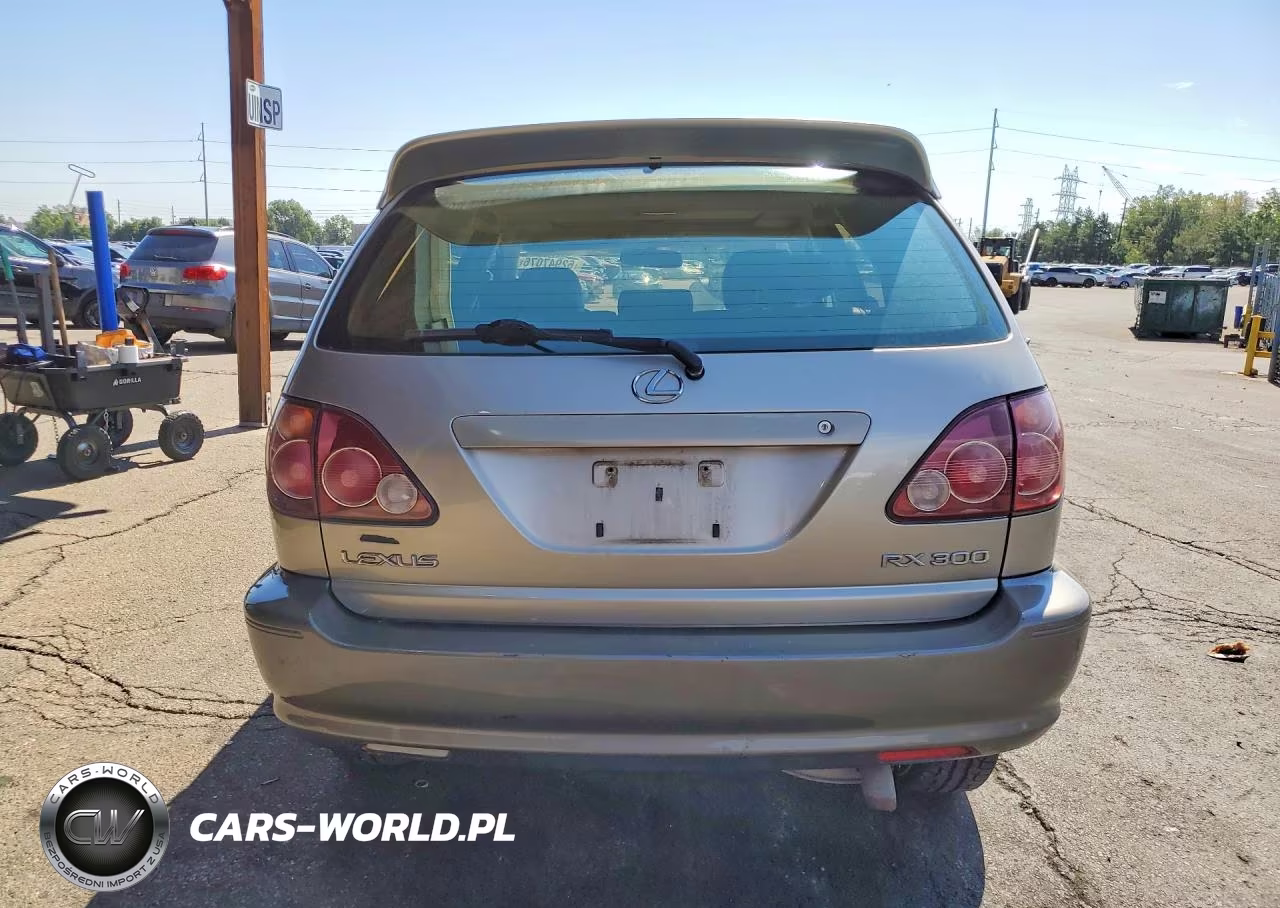 2000 Lexus Rx 300 VIN:JT6HF10UXY0157175 - 6