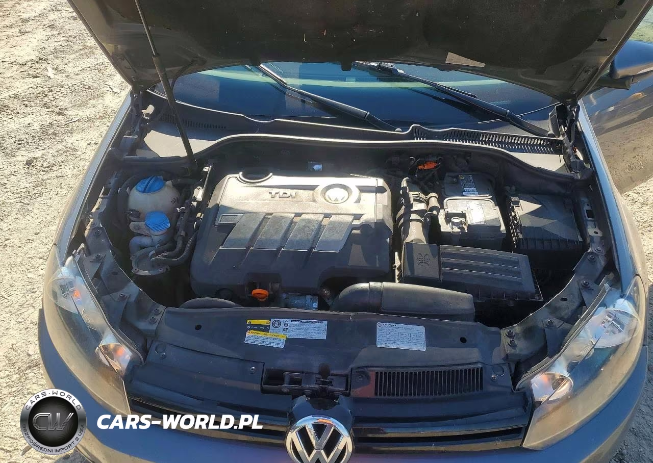 2013 Volkswagen Golf VIN:WVWDM7AJ9DW121554 - 11
