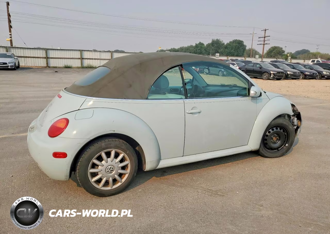 2005 Volkswagen New Beetle VIN:3VWCM31Y25M367619 - 3