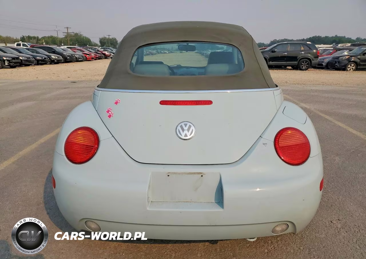 2005 Volkswagen New Beetle VIN:3VWCM31Y25M367619 - 6