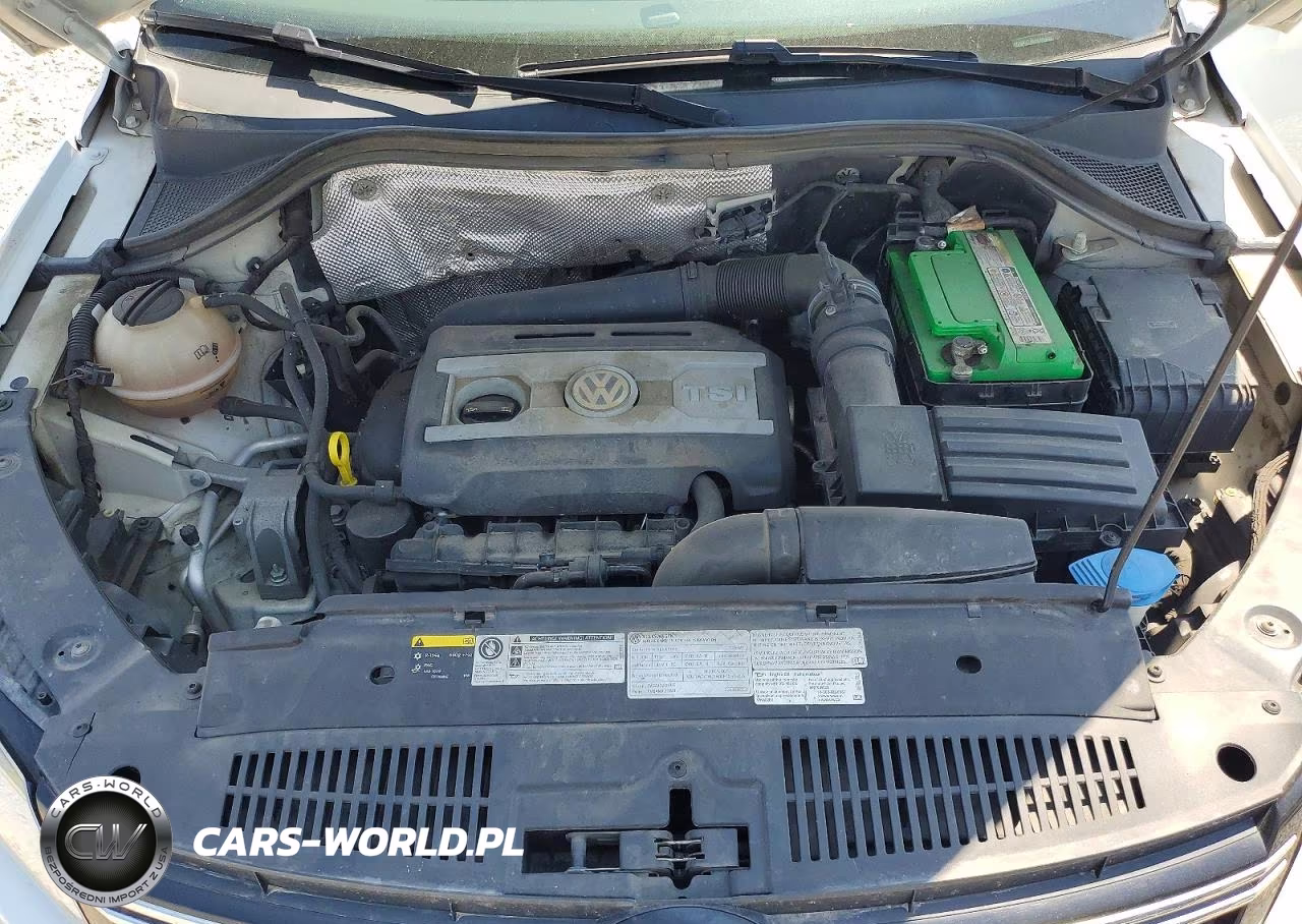 2015 Volkswagen Tiguan S VIN:WVGBV7AX5FW520078 - 12