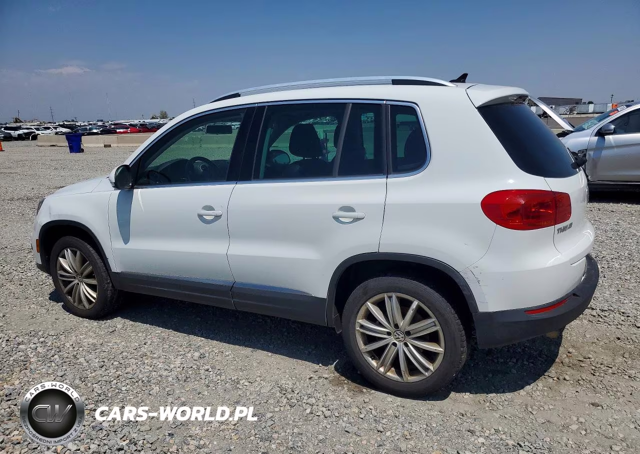2015 Volkswagen Tiguan S VIN:WVGBV7AX5FW520078 - 2