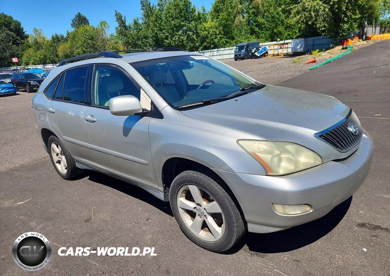 2004 Lexus Rx 330 VIN:JTJGA31U940025691 - 4