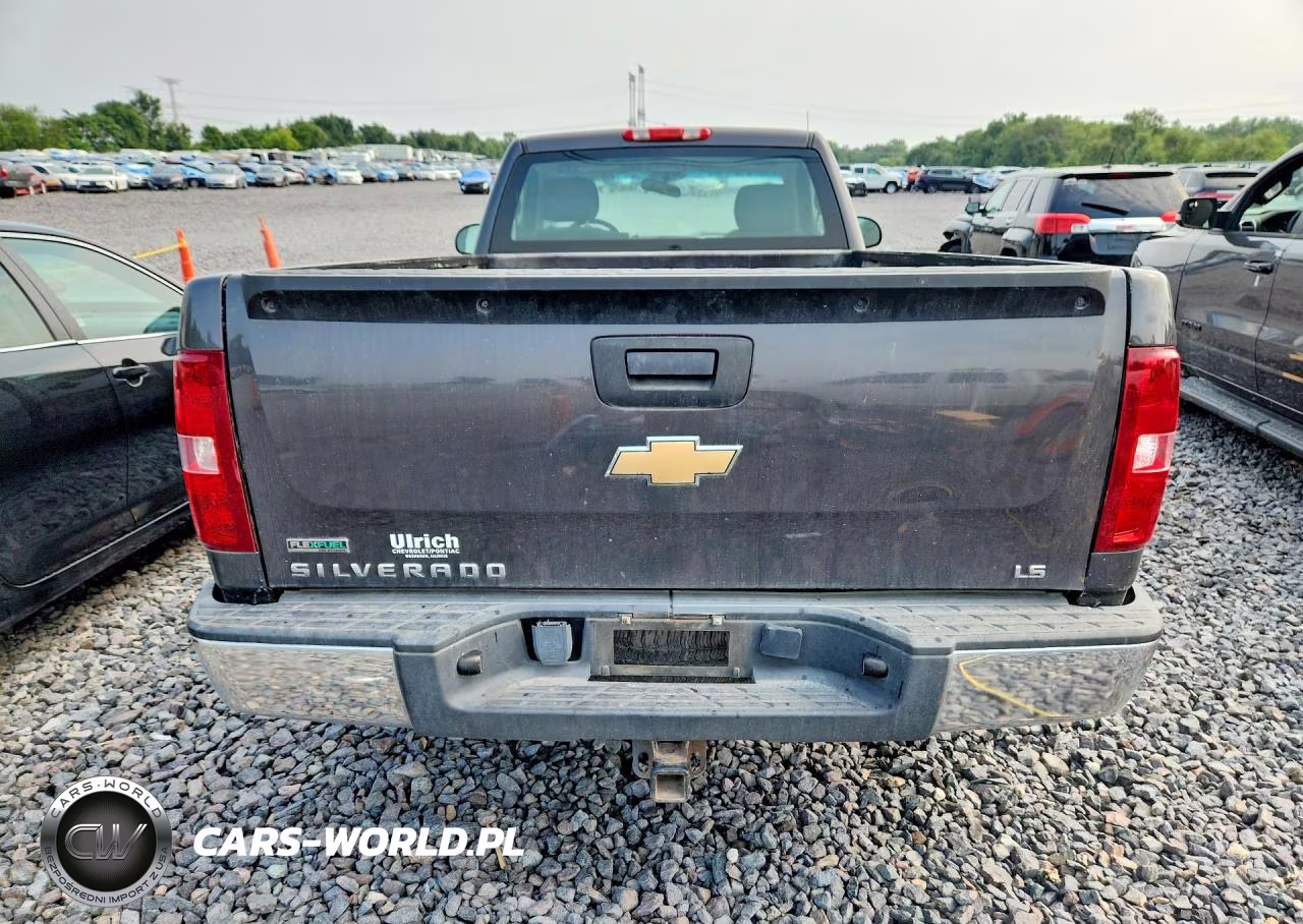 2010 Chevrolet Silverado K1500 VIN:1GCPKPEAXAZ201484 - 6