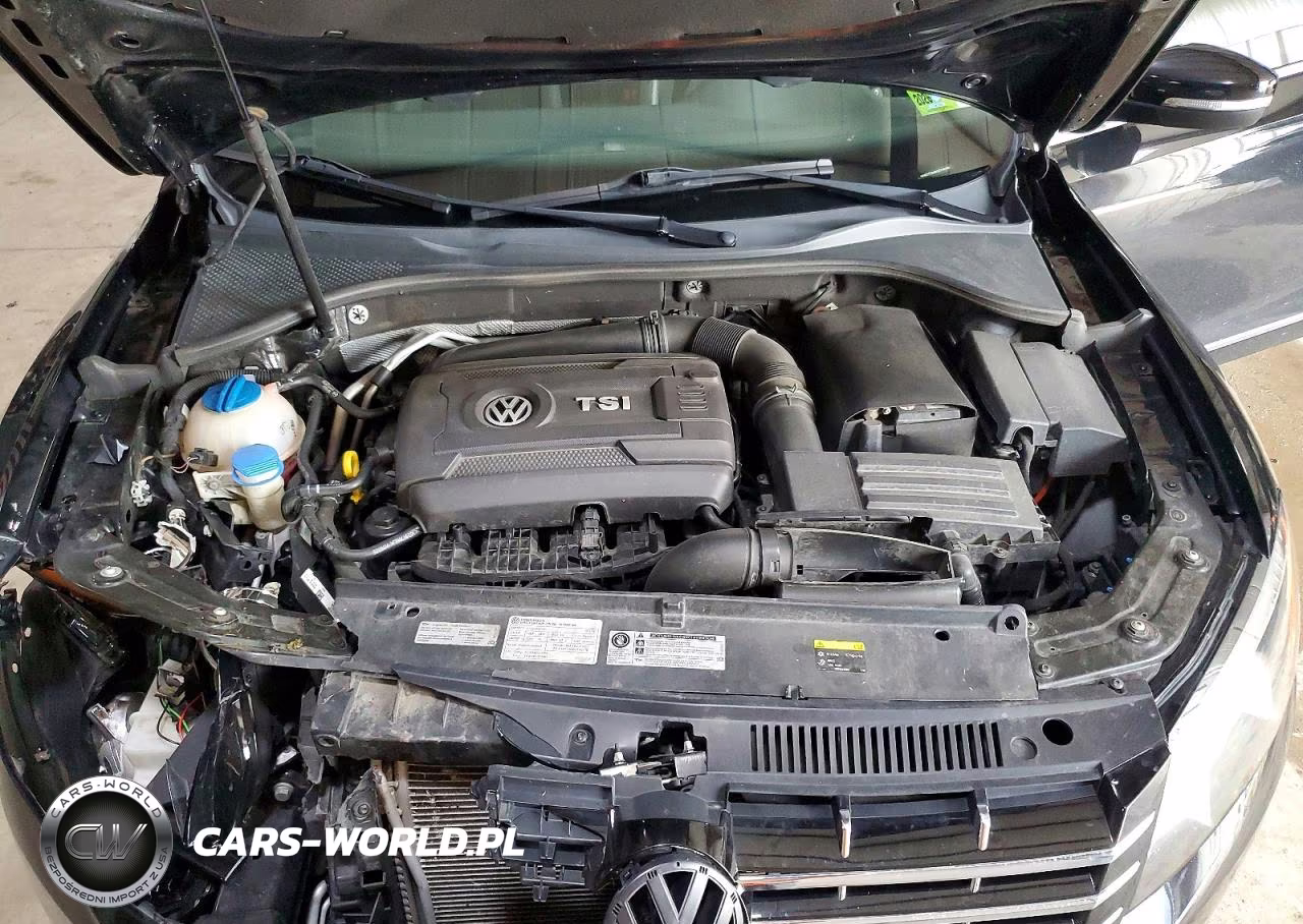2014 Volkswagen Passat Sel VIN:1VWCT7A3XEC110160 - 11