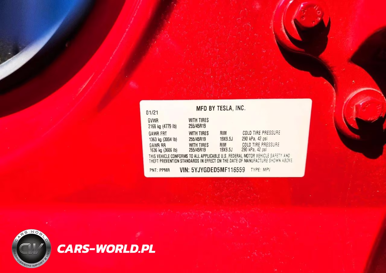 2021 Tesla Model Y VIN:5YJYGDED5MF116559 - 12
