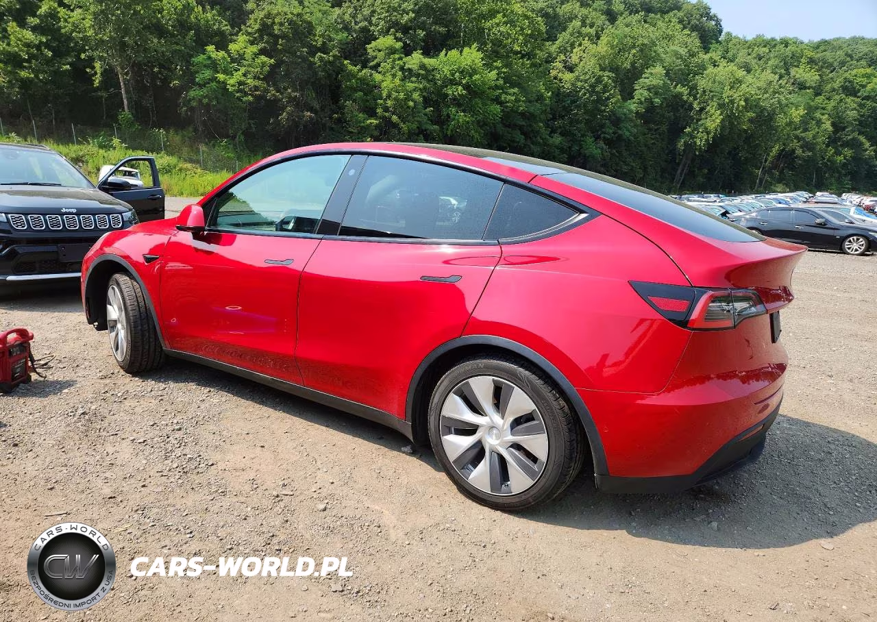 2021 Tesla Model Y VIN:5YJYGDED5MF116559 - 2