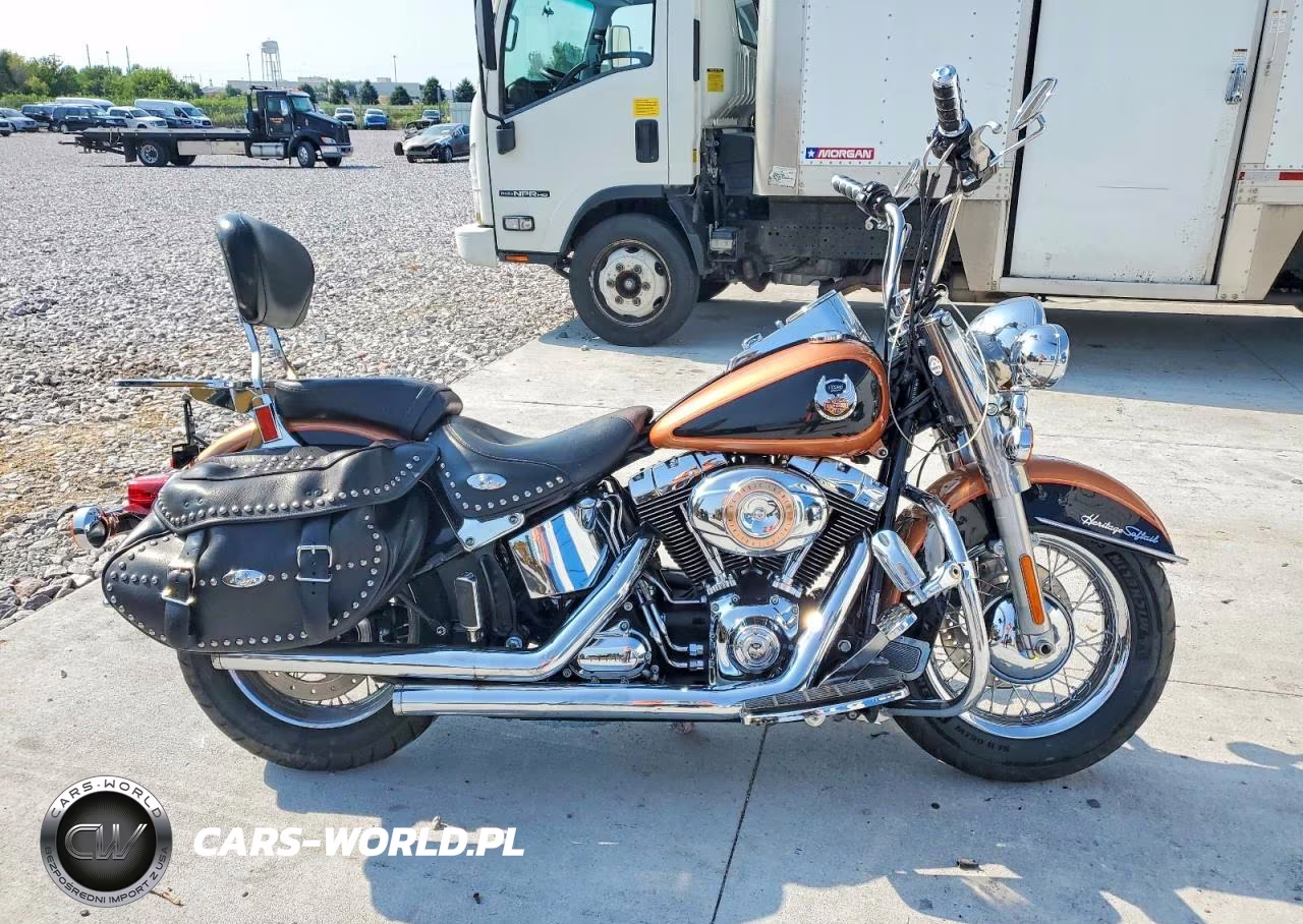 2008 Harley-Davidson Flstc 105Th Anniversary Edition – zdjęcie 1 z 9