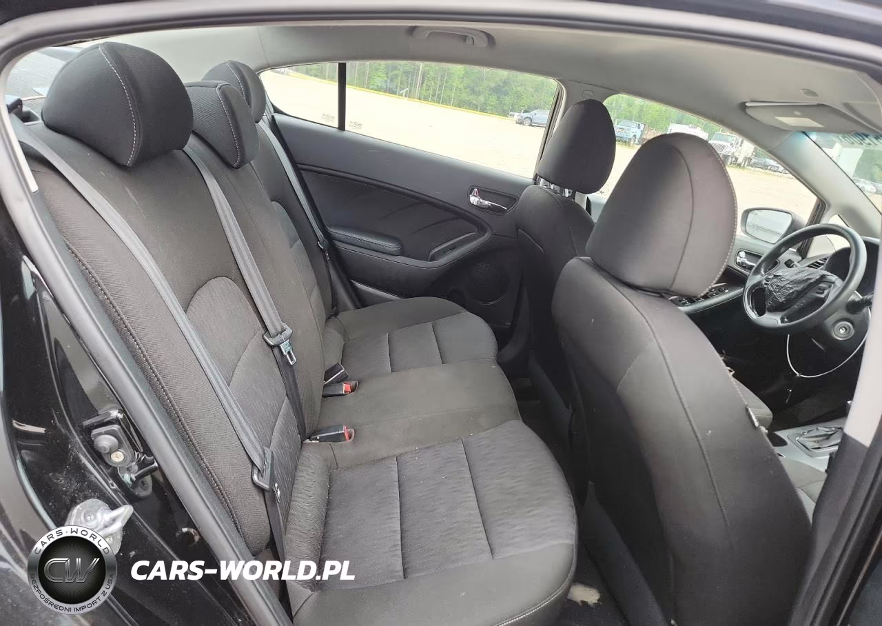 2016 Kia Forte Lx VIN:KNAFK4A63G5487767 - 10