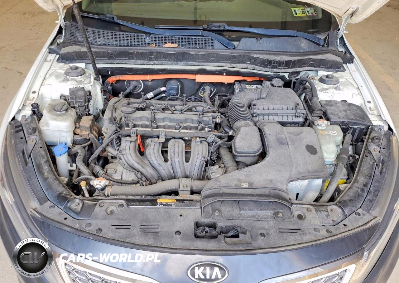 2015 Kia Optima Hybrid VIN:KNAGM4AD5F5077239 - 11