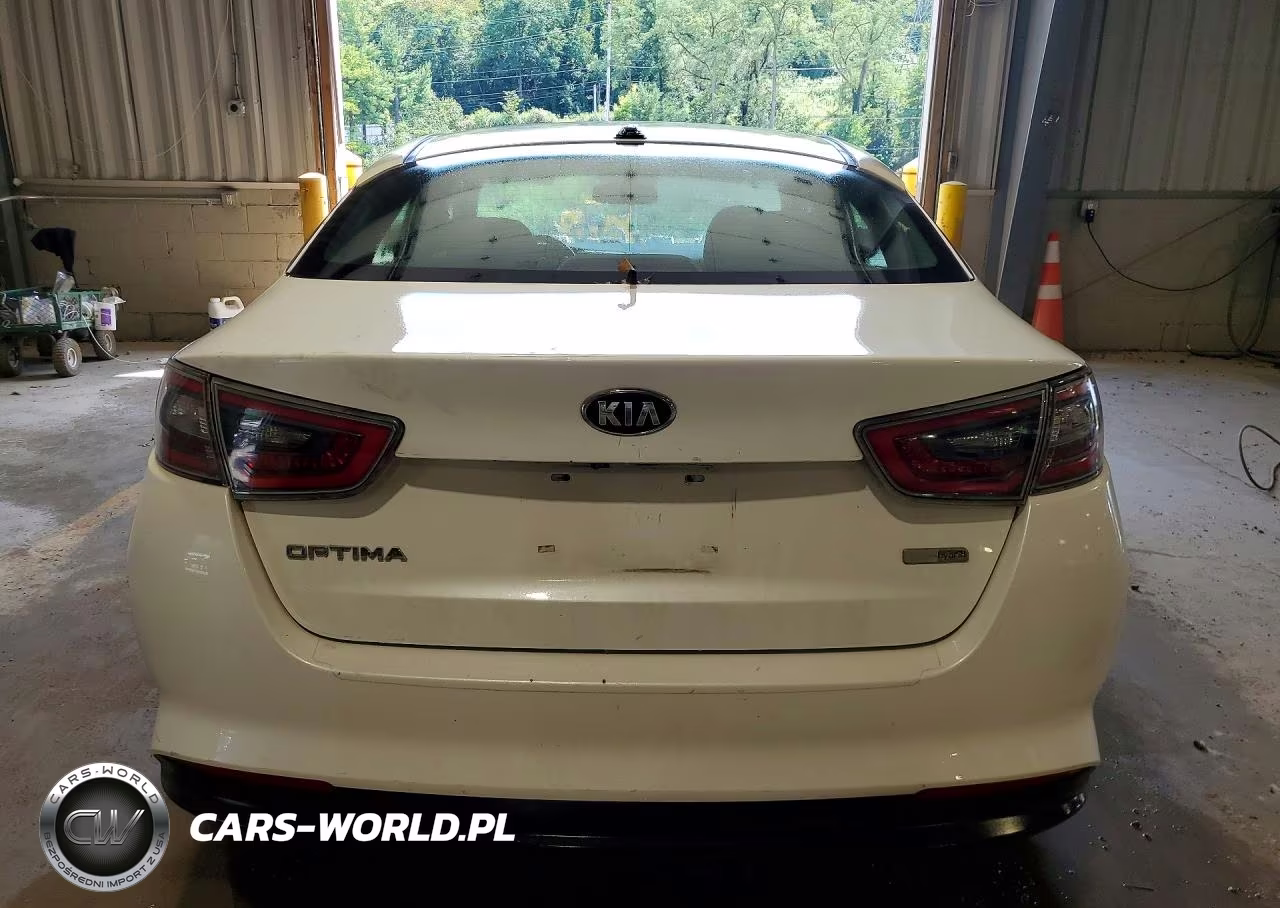 2015 Kia Optima Hybrid VIN:KNAGM4AD5F5077239 - 6