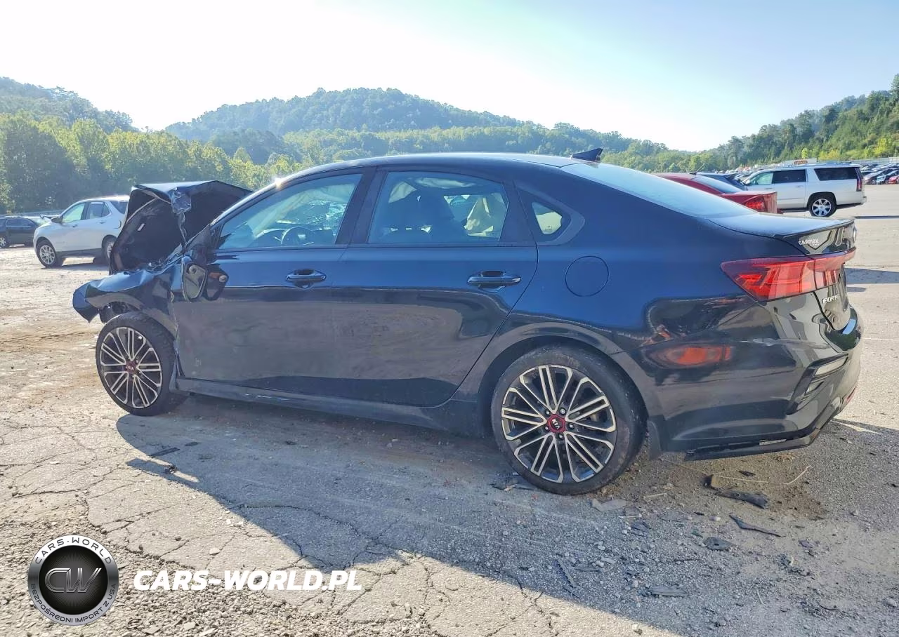 2020 Kia Forte Gt VIN:3KPF44AC3LE144913 - 2