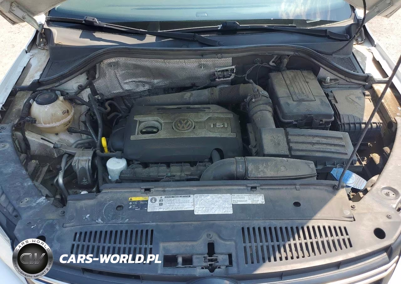 2017 Volkswagen Tiguan S VIN:WVGAV7AX0HK045266 - 12
