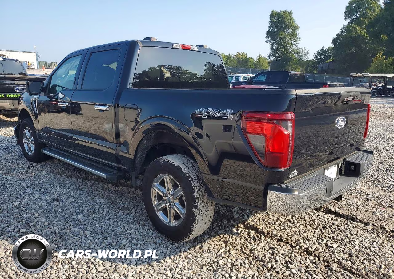 2024 Ford F150 Xlt VIN:1FTFW3LD3RFA55125 - 2