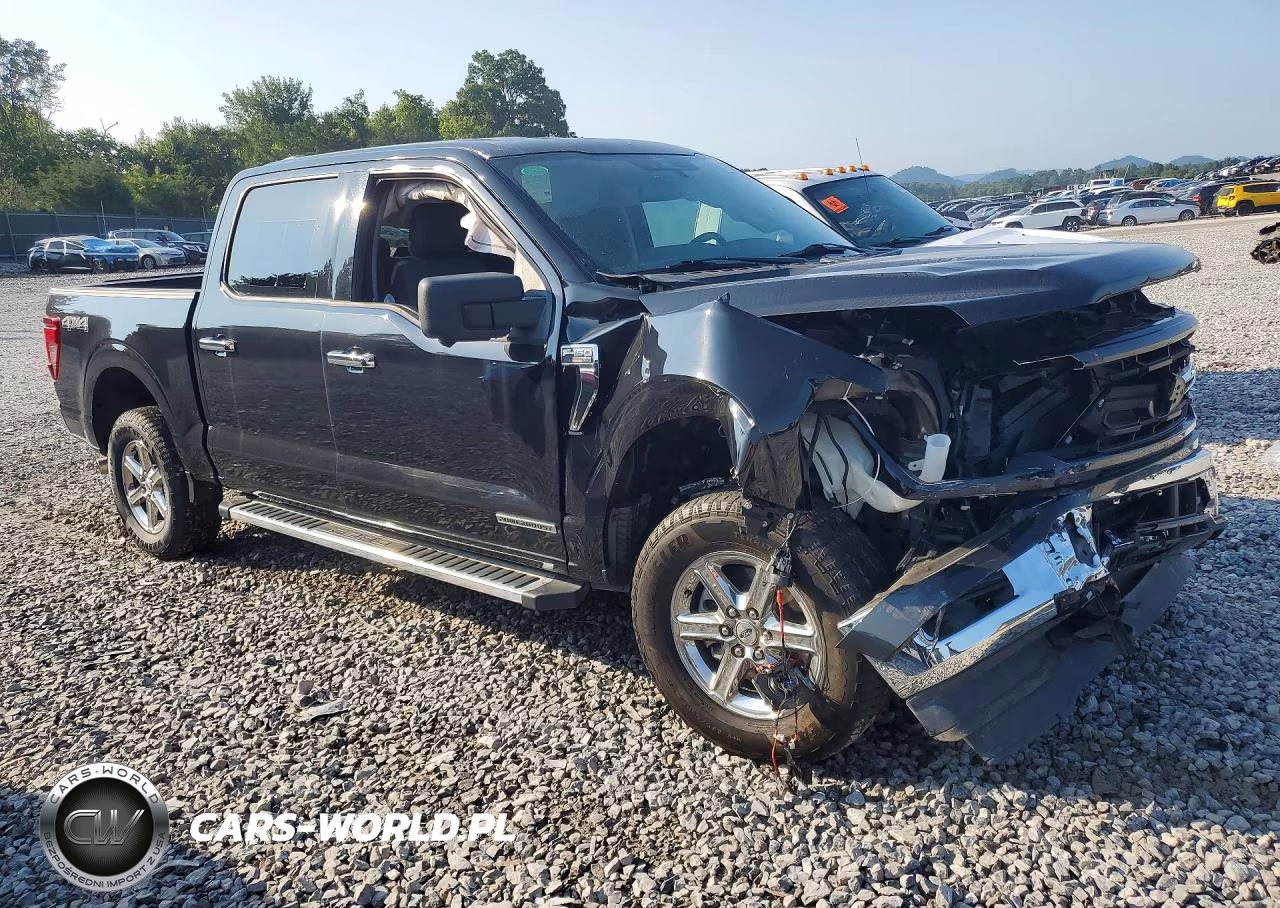 2024 Ford F150 Xlt VIN:1FTFW3LD3RFA55125 - 4