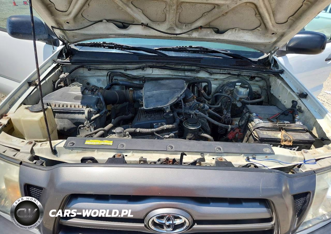 2009 Toyota Tacoma Base VIN:5TEPX42N19Z603966 - 11