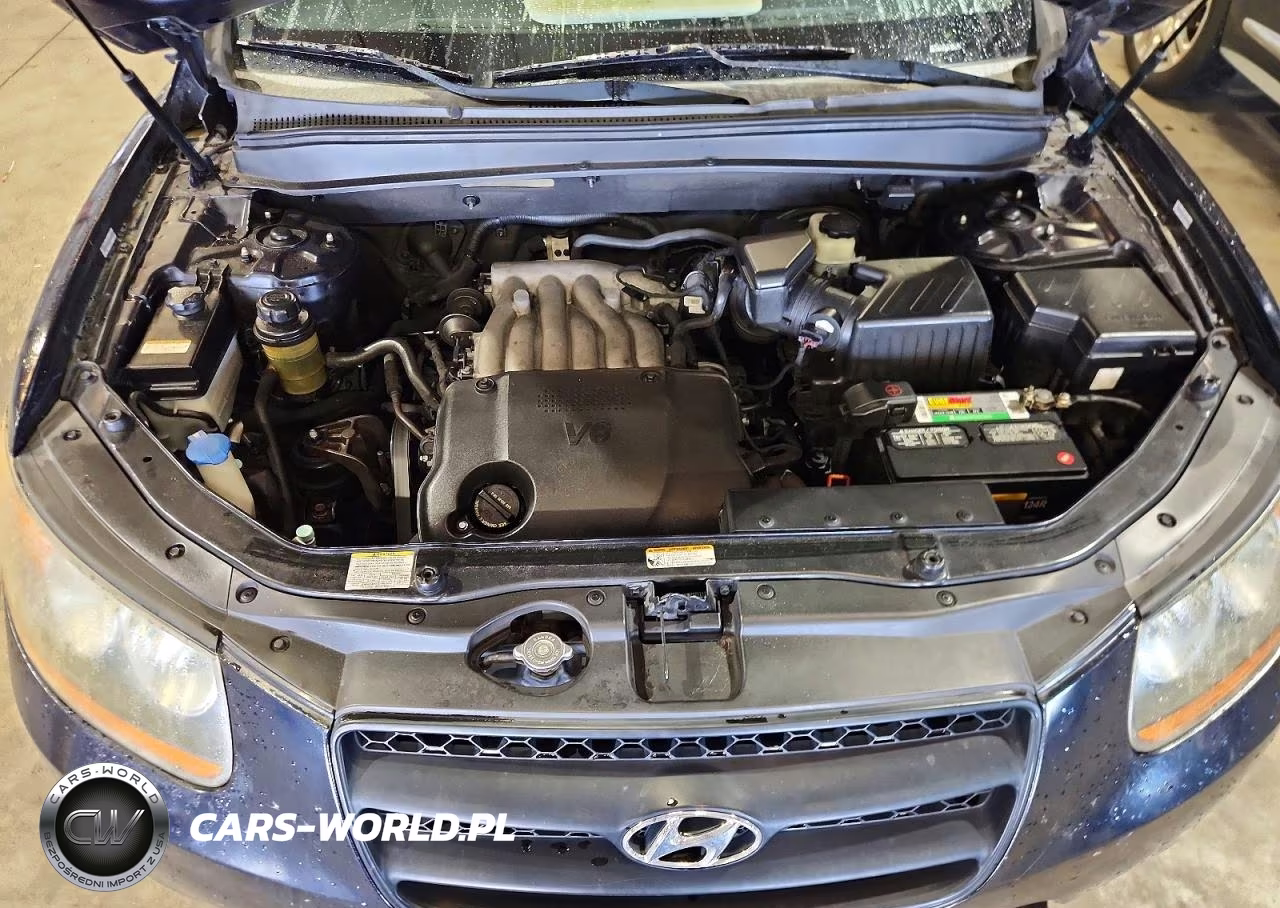 2009 Hyundai Santa Fe Gls VIN:5NMSG13D19H272871 - 12