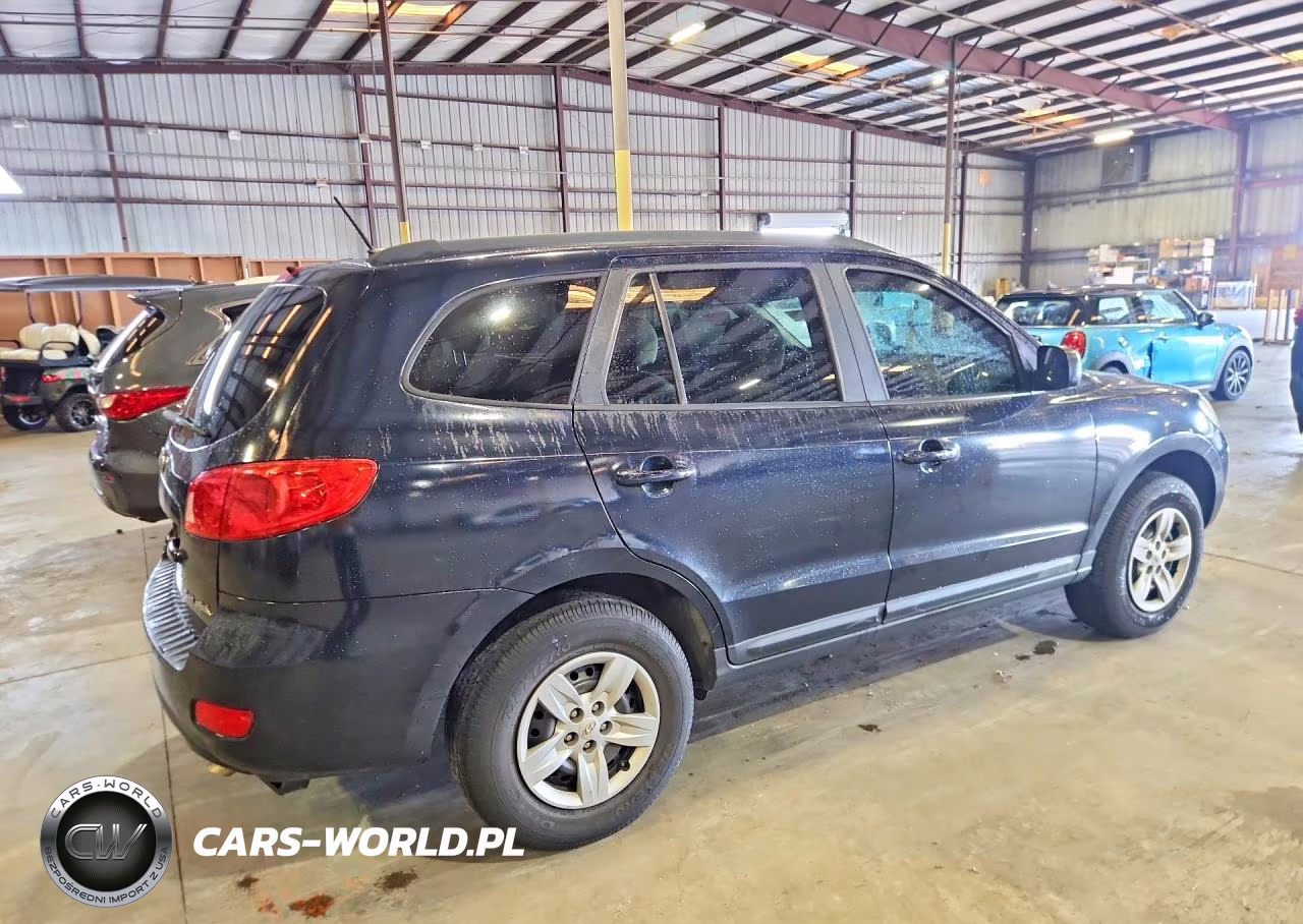 2009 Hyundai Santa Fe Gls VIN:5NMSG13D19H272871 - 3