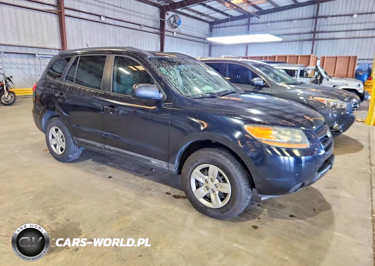 2009 Hyundai Santa Fe Gls VIN:5NMSG13D19H272871 - 4