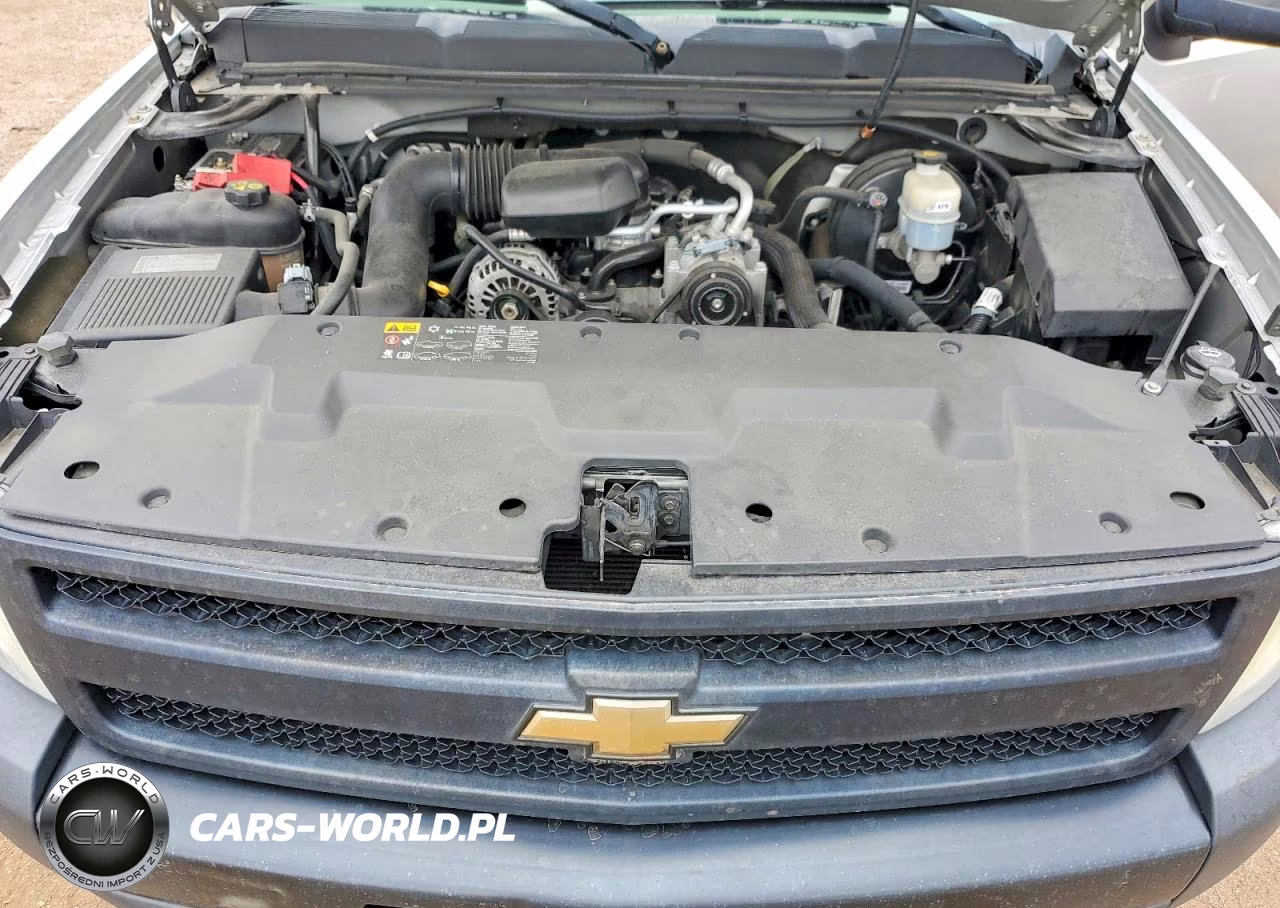 2011 Chevrolet Silverado C1500 VIN:1GCNCPEX8BZ348221 - 11