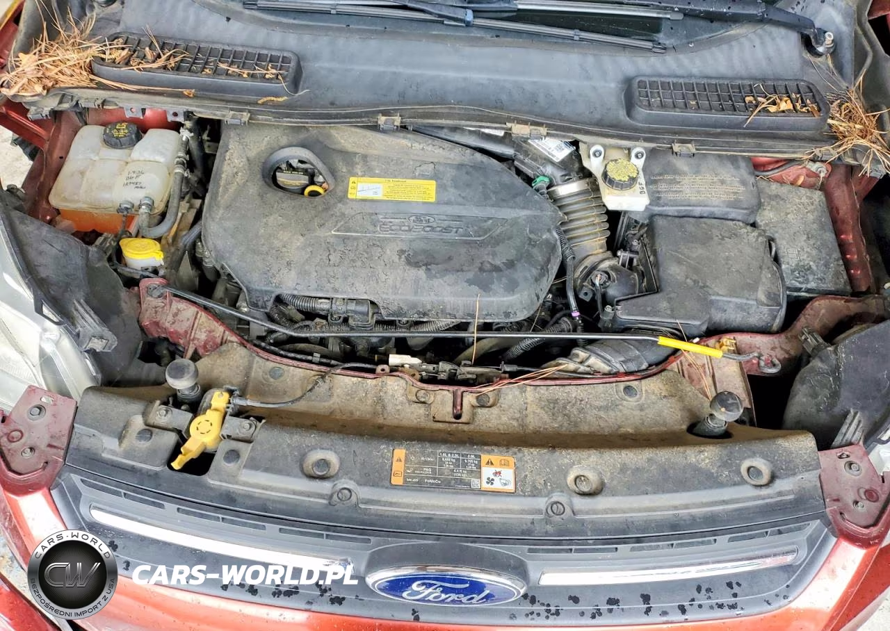 2014 Ford Escape Se VIN:1FMCU0GX6EUB22846 - 11