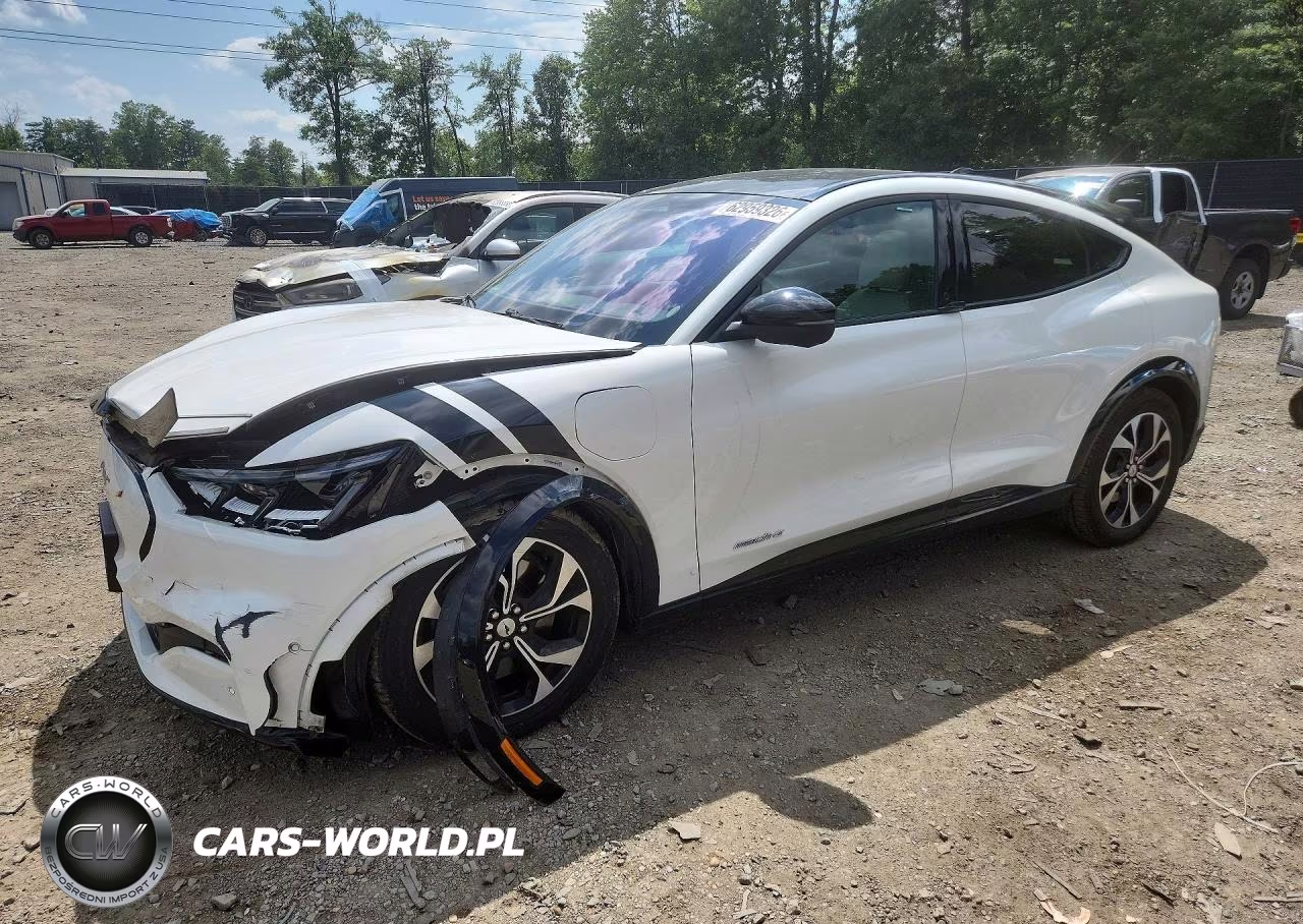 2022 Ford Mustang Mach-E Premium VIN:3FMTK3RM6NMA25158 - 1