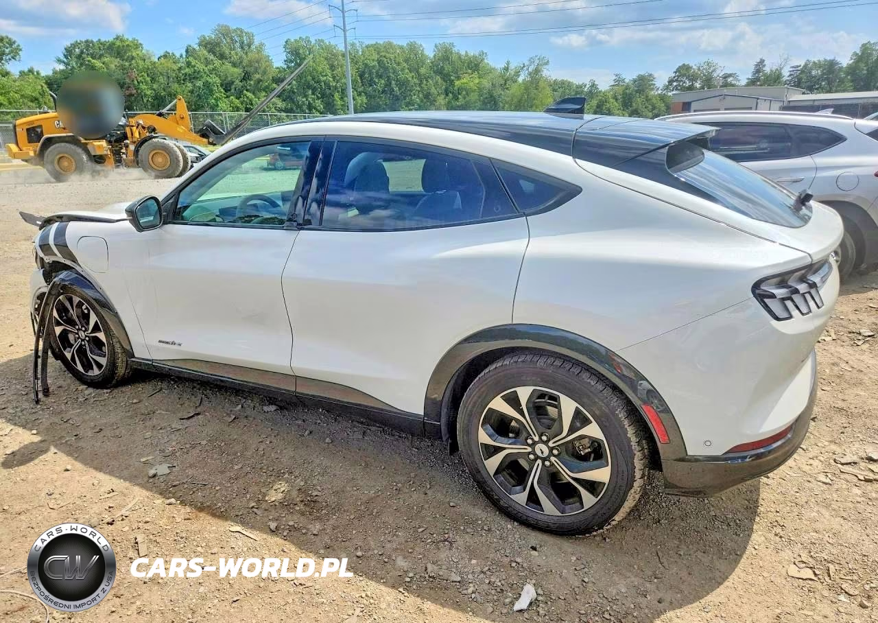 2022 Ford Mustang Mach-E Premium VIN:3FMTK3RM6NMA25158 - 2