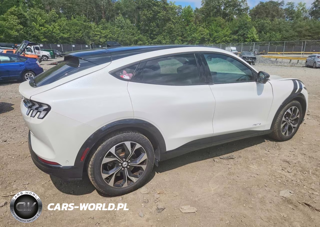 2022 Ford Mustang Mach-E Premium VIN:3FMTK3RM6NMA25158 - 3