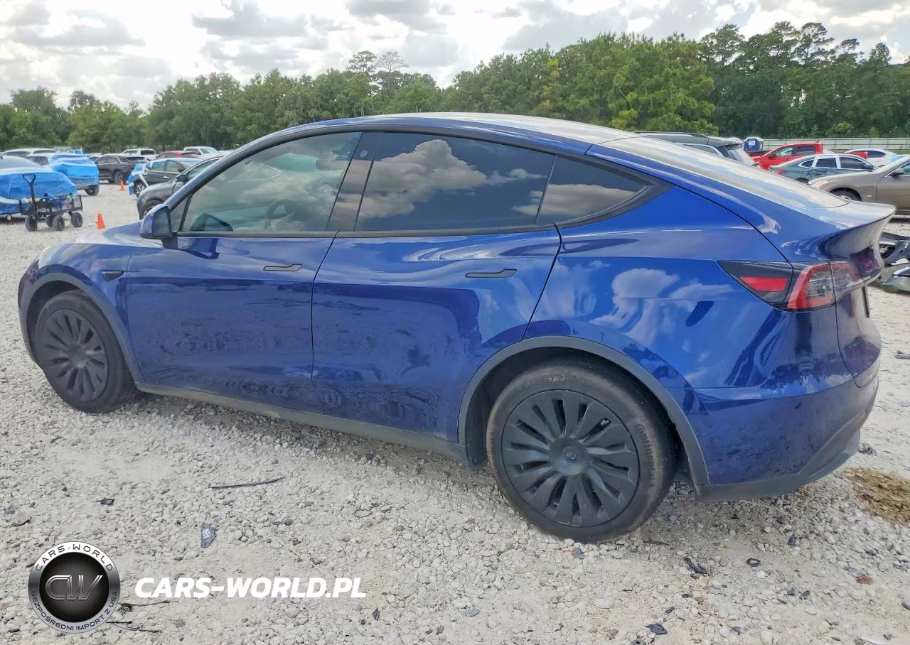 2022 Tesla Model Y VIN:7SAYGDEE7NA004808 - 2