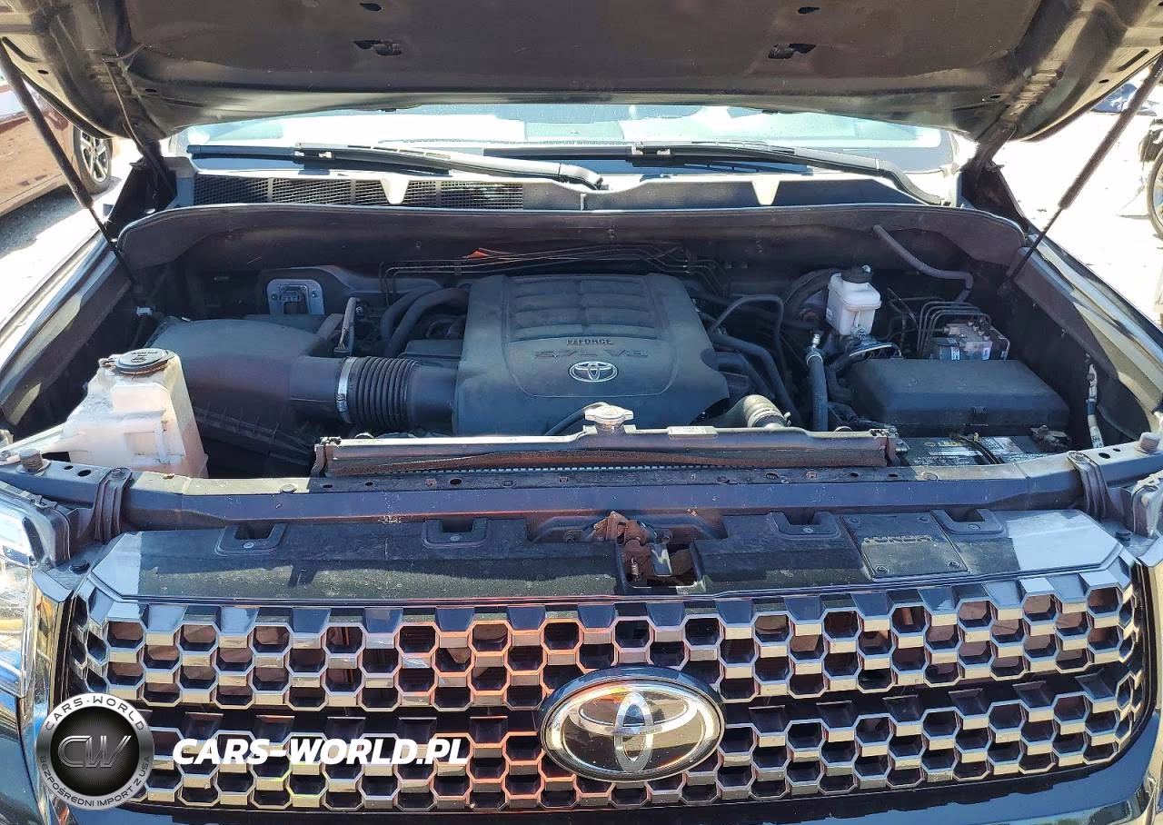 2019 Toyota Tundra Platinum VIN:5TFAY5F12KX844609 - 11