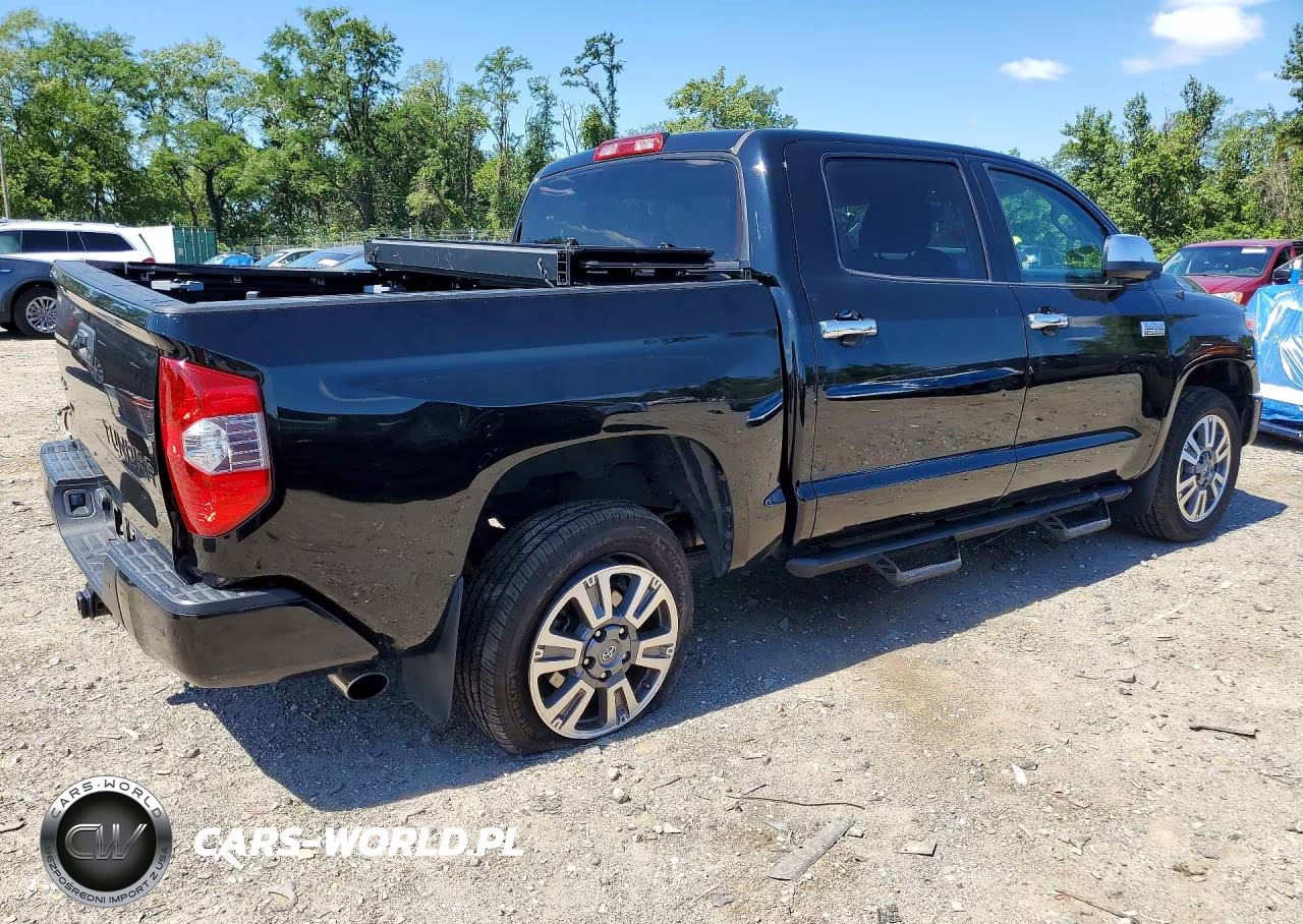 2019 Toyota Tundra Platinum VIN:5TFAY5F12KX844609 - 3