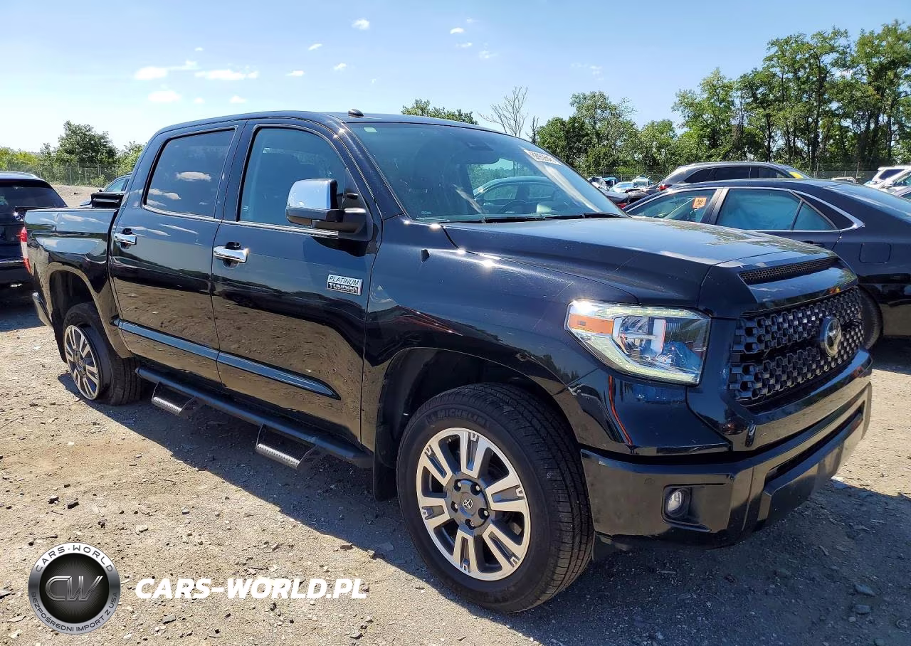 2019 Toyota Tundra Platinum VIN:5TFAY5F12KX844609 - 4