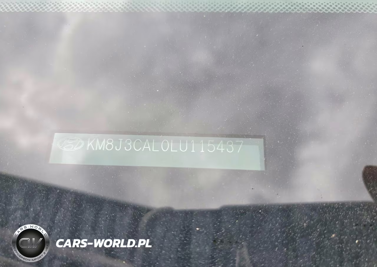 2020 Hyundai Tucson Ultimate VIN:KM8J3CAL0LU115437 - 12