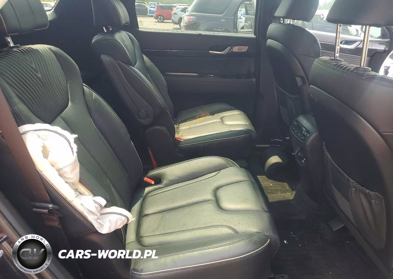2024 Hyundai Palisade Calligraphy VIN:KM8R74GE9RU799208 - 11