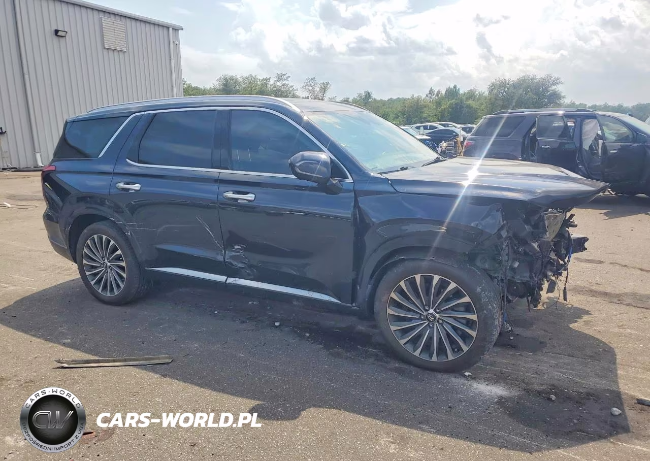 2024 Hyundai Palisade Calligraphy VIN:KM8R74GE9RU799208 - 4