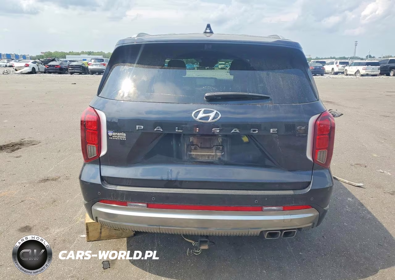 2024 Hyundai Palisade Calligraphy VIN:KM8R74GE9RU799208 - 6