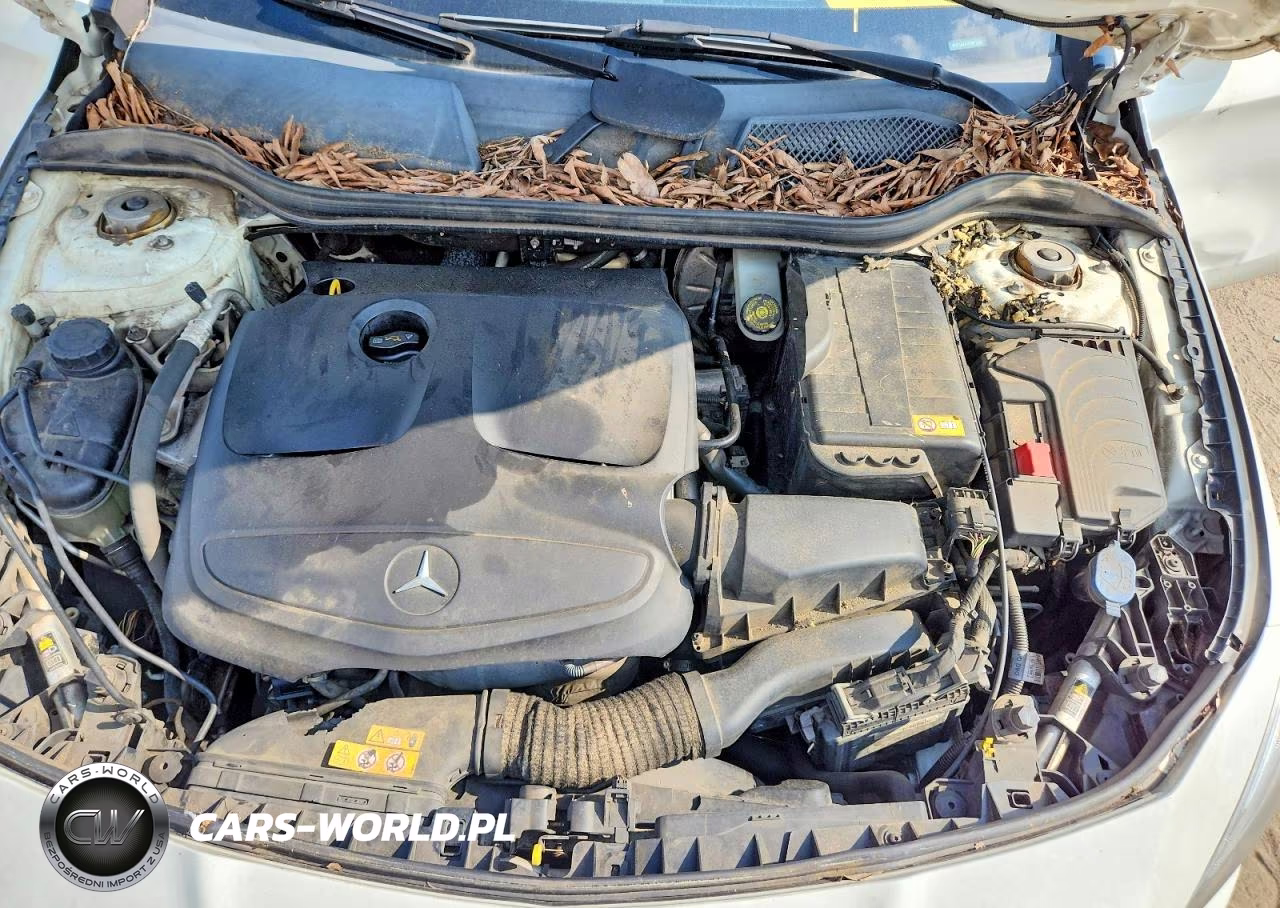 2014 Mercedes-Benz Cla 250 VIN:WDDSJ4EB6EN052465 - 11