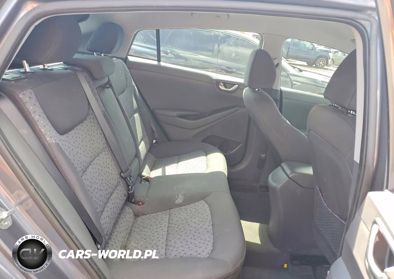 2017 Hyundai Ioniq Sel VIN:KMHC75LC8HU019164 - 10