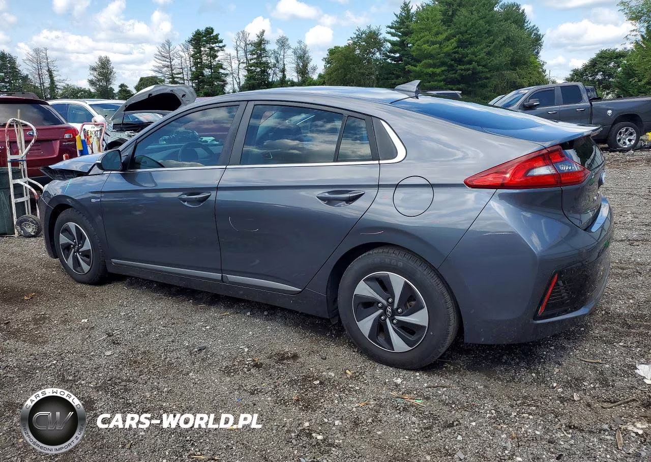 2017 Hyundai Ioniq Sel VIN:KMHC75LC8HU019164 - 2