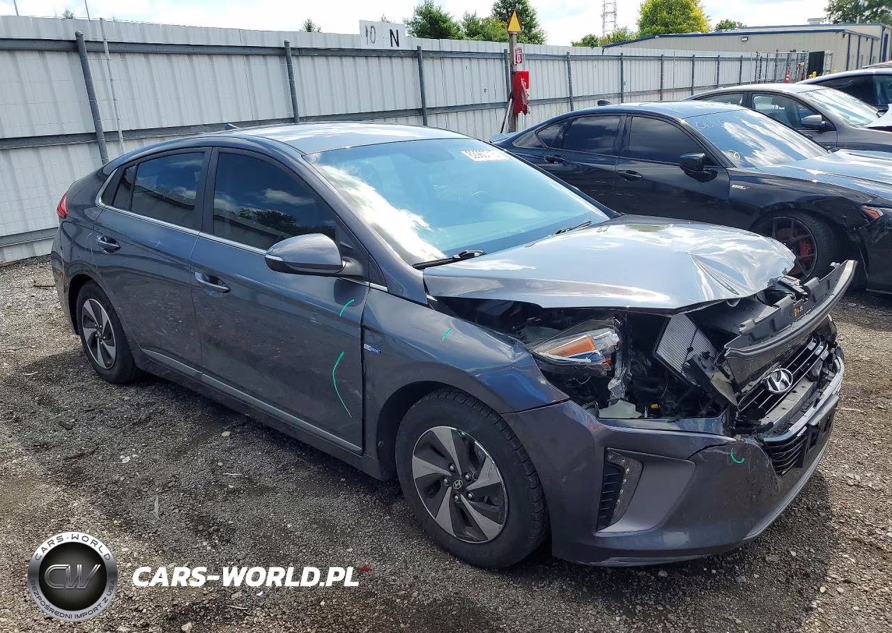 2017 Hyundai Ioniq Sel VIN:KMHC75LC8HU019164 - 4