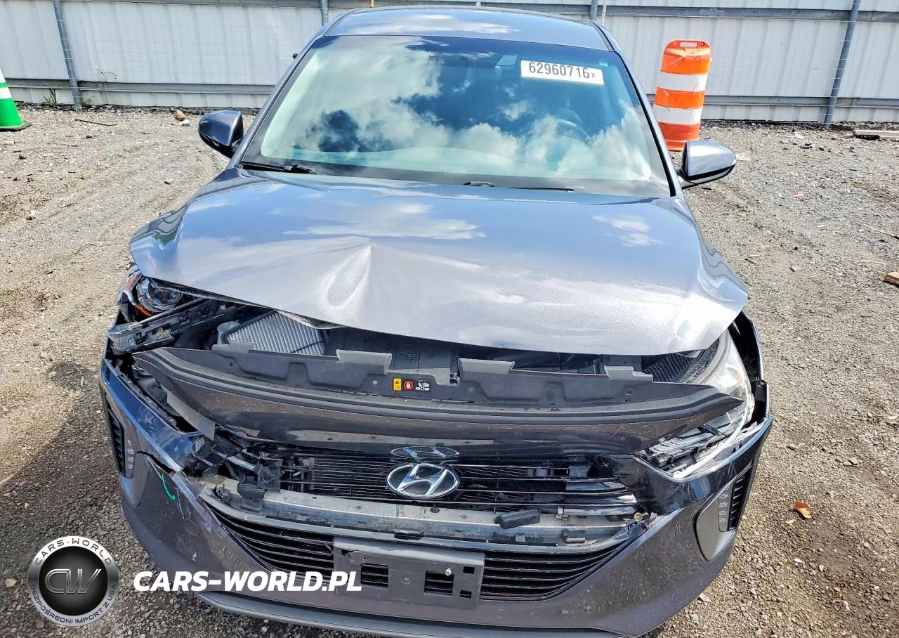 2017 Hyundai Ioniq Sel VIN:KMHC75LC8HU019164 - 5