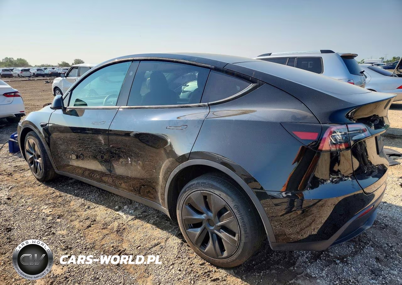 2024 Tesla Model Y VIN:7SAYGDEE8RF167959 - 2