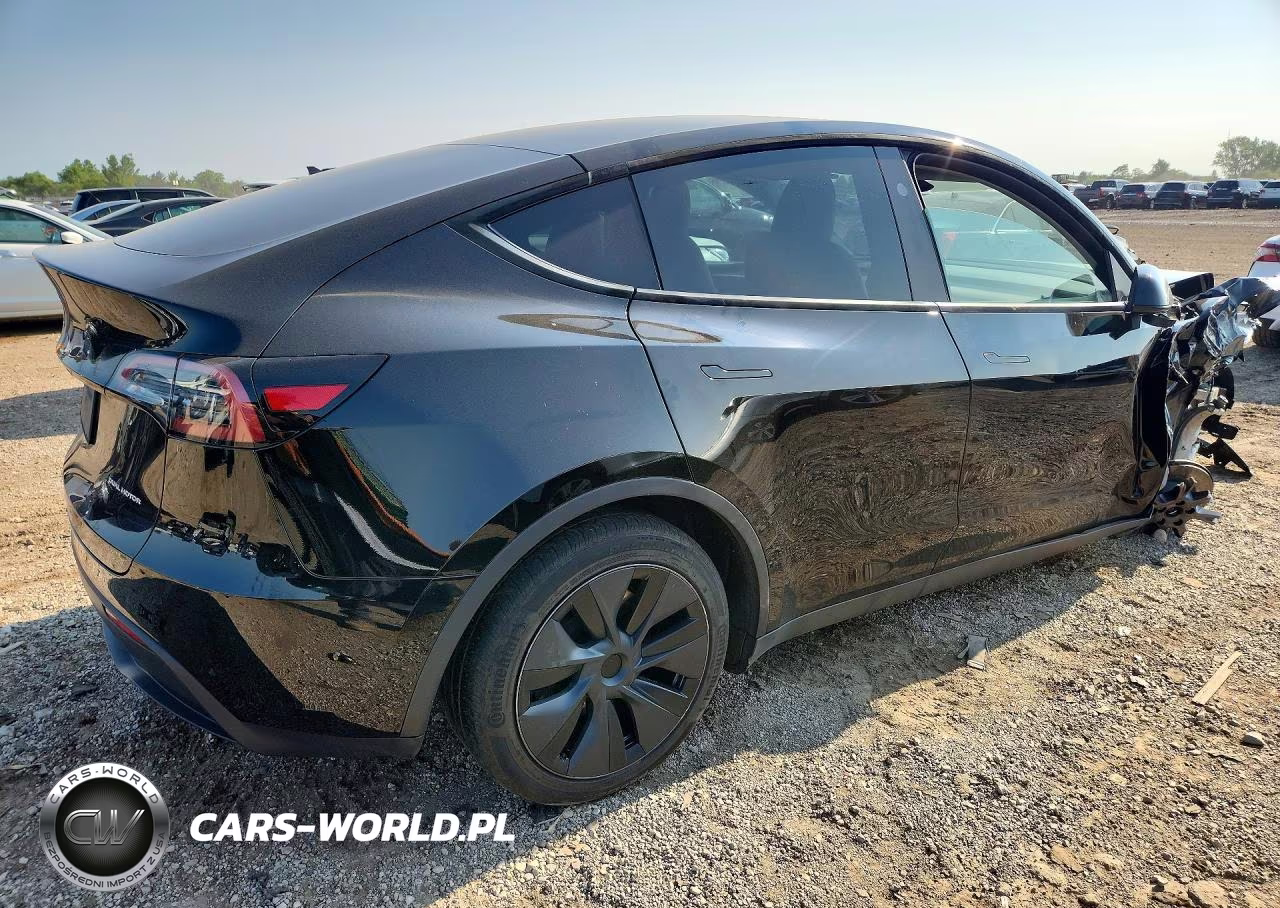 2024 Tesla Model Y VIN:7SAYGDEE8RF167959 - 3