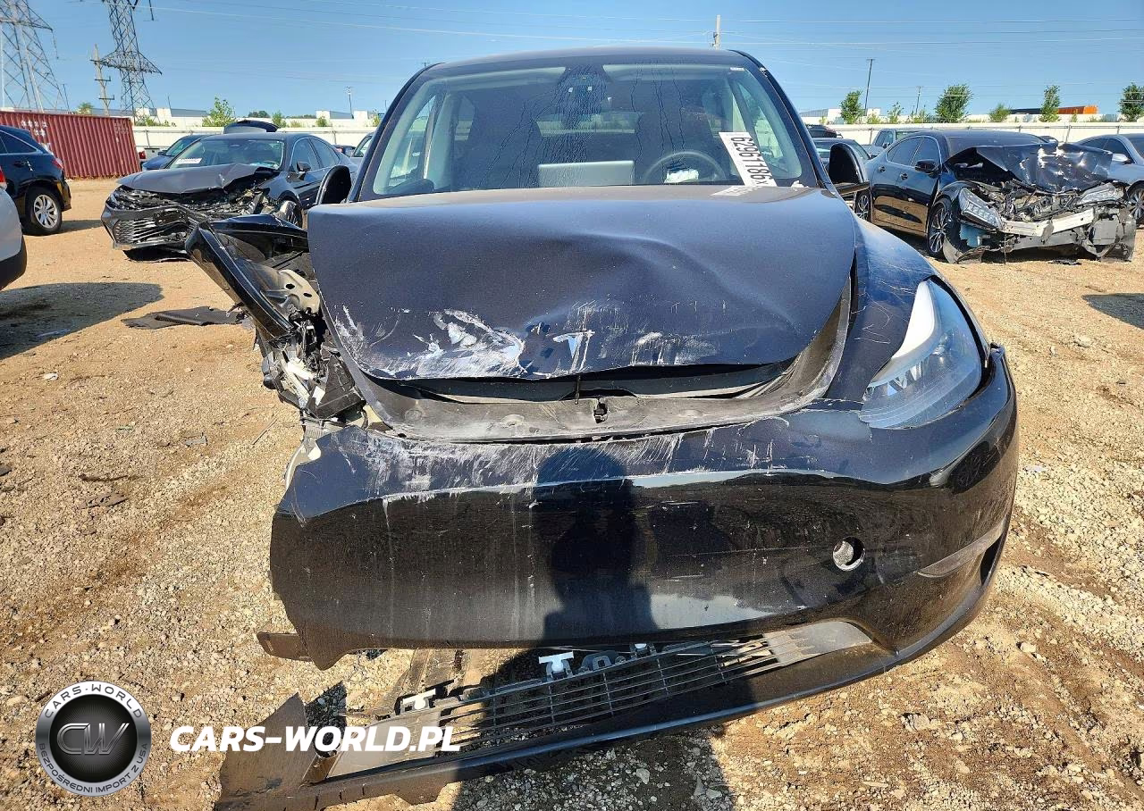 2024 Tesla Model Y VIN:7SAYGDEE8RF167959 - 5