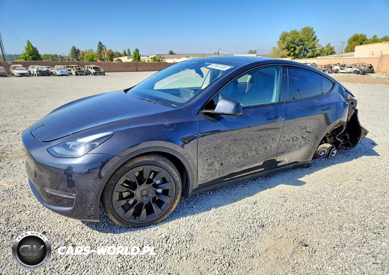 2024 Tesla Model Y VIN:7SAYGAEE8RF041468 - 1