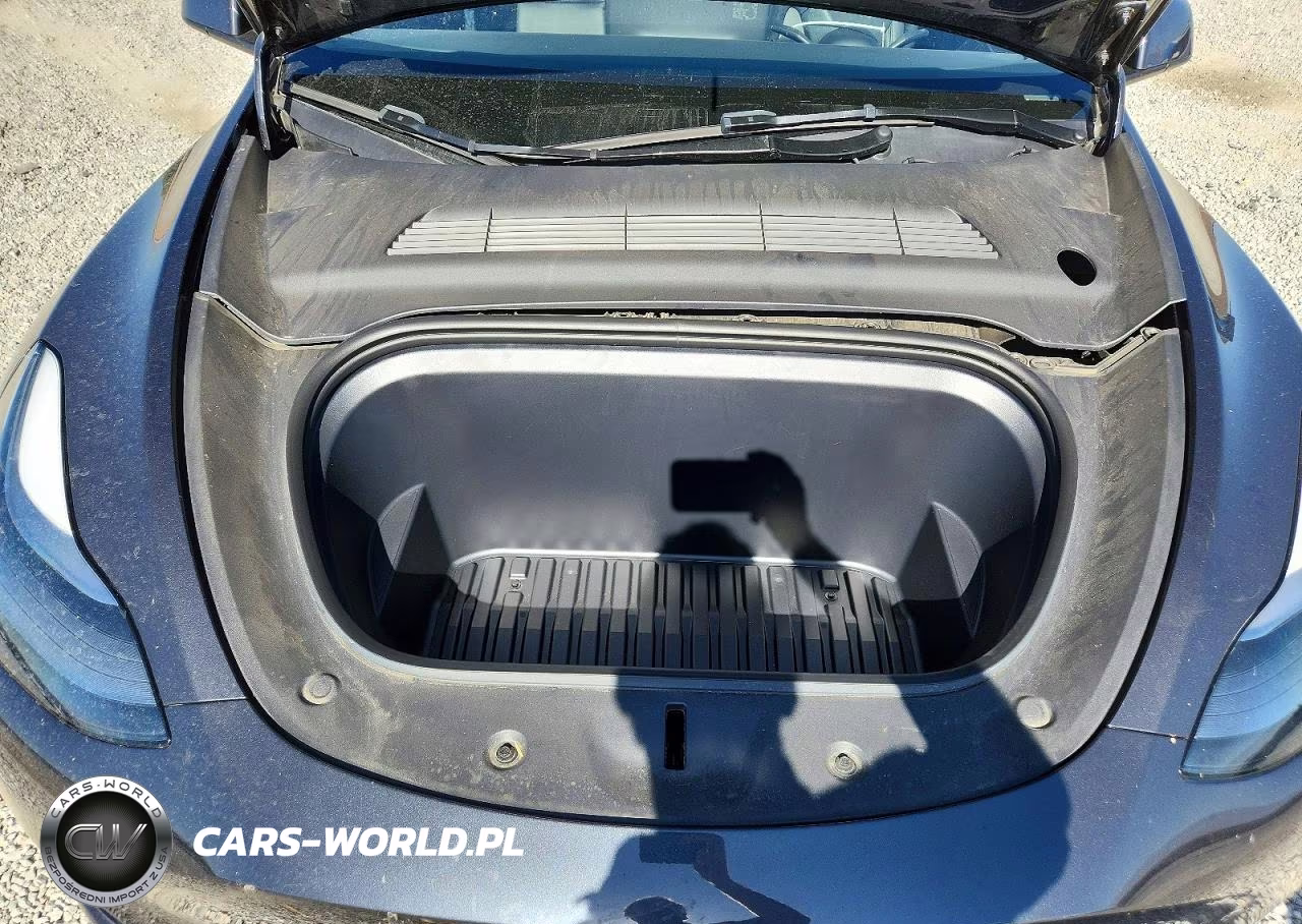 2024 Tesla Model Y VIN:7SAYGAEE8RF041468 - 12