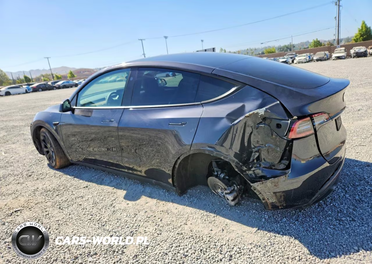 2024 Tesla Model Y VIN:7SAYGAEE8RF041468 - 2