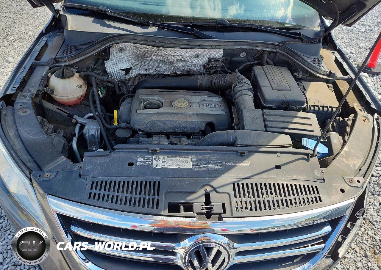 2011 Volkswagen Tiguan S VIN:WVGBV7AX3BW521563 - 12